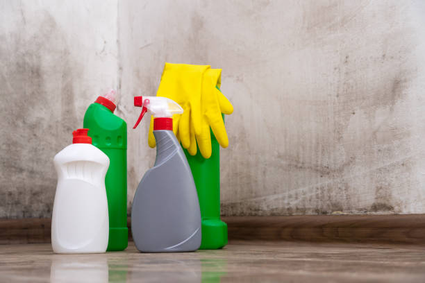 East Richmond Heights, CA Mold Inspection, Removal & Remediation Company